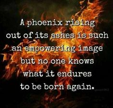 a fire with the words,'a pheonix rising out of its ashes is such an emporing image but no one knows what it ends to be born again