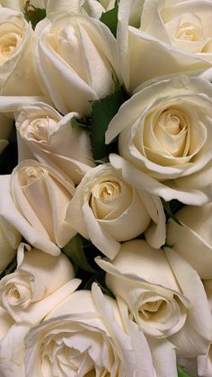 a bouquet of white roses is shown in close up view, with green leaves on the stems