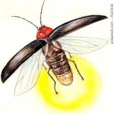 a drawing of a fly sitting on top of a yellow ball with its wings spread