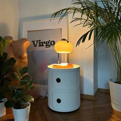 a table with a lamp on top of it next to potted plants and a plant