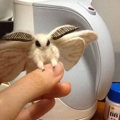 a small white bat sitting on top of a toilet