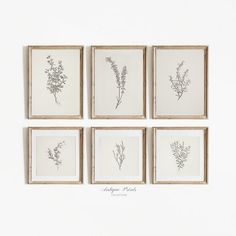 six framed botanical prints in various shapes and sizes, each with different flowers on them