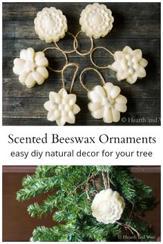 some white flowers are hanging from a tree and the words scented beeswax ornaments easy diy natural decor for your tree