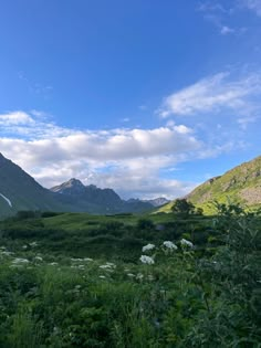 the mountains are covered with green grass and white wildflowers in the foreground