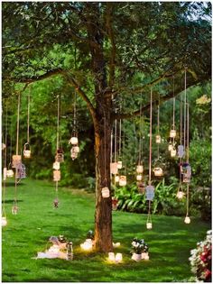 a tree filled with lots of lights hanging from it's branches in the grass