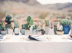 a table topped with lots of potted plants on top of a white table cloth