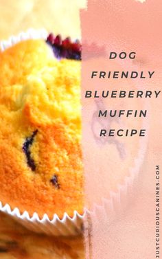 a blueberry muffin with the words dog friendly on it's front and side