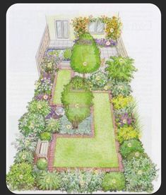 a drawing of a garden with lots of plants