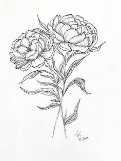 a drawing of three flowers on a white paper