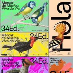 four different posters with birds on them and the words bird in spanish are shown below