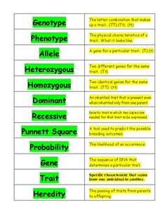 the table has two different types of words in each word, and one is written on it