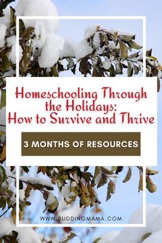 snow covered branches with the words homeschooling through the holidays how to survive and thriving 3 months of resources