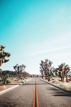 an empty road in the desert with trees and bushes on both sides, against a blue sky