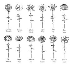 the different types of flowers that are in each flower arrangement, from top to bottom