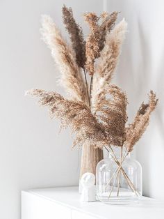 some dried plants in a glass vase on a white shelf