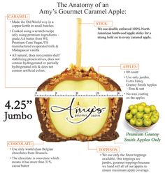 an info sheet describing the anatomy of an apple and how it's different types