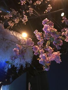 pink flowers are blooming on a tree in front of a building with blue lights