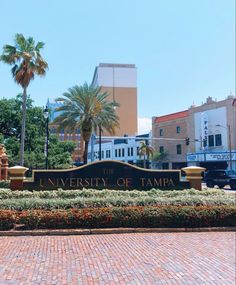 the university of tampa sign is shown in front of palm trees and other buildings on a sunny day