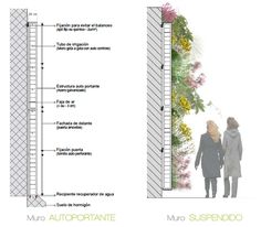 the diagram shows how to design an outdoor space with plants and flowers on either side