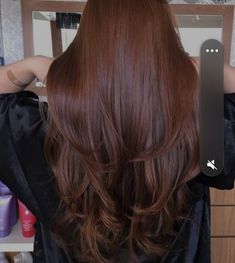 Dark Auburn Hair Color Fair Skin, Deep Chestnut Brown Hair Dark Auburn, Ginger Chestnut Hair, Light Raspberry Brown Hair, Dark Copper Hair Brown, Hair Colors For Very Pale Skin, Dark Auburn Hair Natural, Solid Hair Color Ideas For Curly Hair, Auburn Tinted Brown Hair