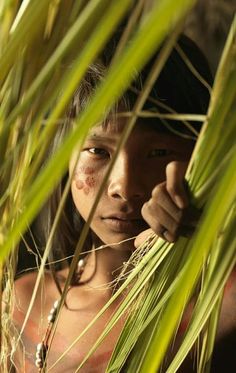 a young boy hiding behind some tall grass