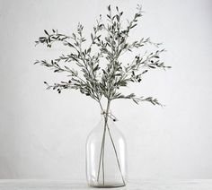 a glass vase filled with green plants on top of a white table next to a wall