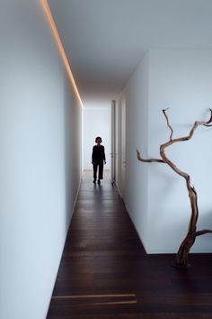 a man is standing in the hallway between two walls with a tree branch on one side