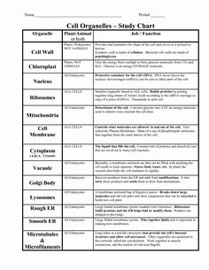 the worksheet for cell organies study chart