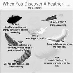 When you discover a feather... meanings in5d.com Finding Feathers, Feather Meaning, Magical Nature, Archangel Raphael, Reiki Symbols, Archangel Gabriel, Modern Witch, Wiccan Spells, Archangel Michael