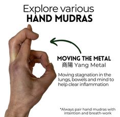 Hand Meditation, Abundant Mindset, Anti Aging Yoga, Yoga Mudras, Chakra Chart