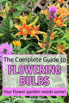 the complete guide to flowering bulbs for your flower garden needs some