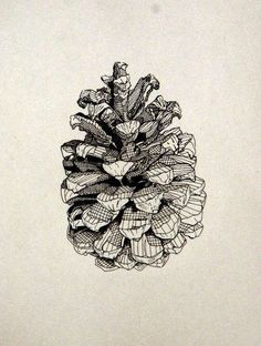 a black and white drawing of a pine cone