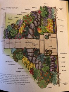 an open book showing the parts of a garden