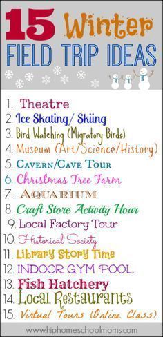 the 15 winter field trip ideas list with text overlaying it and snowflakes