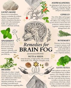 Herb Benefits, Herbal Education, Alkaline Vegan, Medical Herbs, Magia Das Ervas, Healing Remedies, Magic Herbs, Journal Stuff, Adaptogenic Herbs