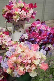 there are many flowers in the vase on the bench outside, and one is pink