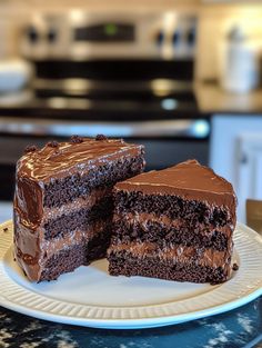 two pieces of chocolate cake on a plate