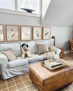 a dog sitting on top of a couch in a living room next to a window