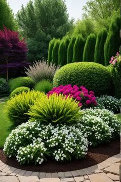 a garden filled with lots of different types of flowers