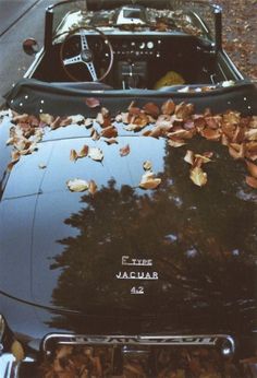 an old car parked on the side of the road with leaves all over it's hood