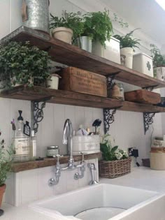 a kitchen sink sitting under two wooden shelves filled with potted plants and greenery