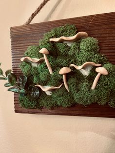 a group of mushrooms sitting on top of a green moss covered wall next to a potted plant