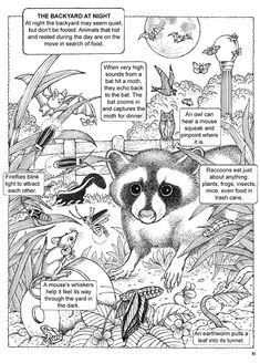 an animal coloring book with animals in the background and text describing what they are doing