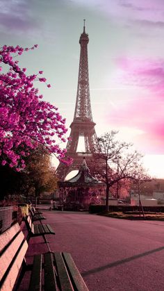 the eiffel tower in paris, france with pink flowers on trees and benches