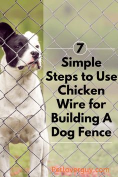 a dog standing behind a fence with the words 7 simple steps to use chicken wire for building a dog fence