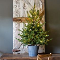 Potted Porch Fir Tree, Lighted - Laylaloou Farmhouse Decor Porch Trees, Park Hill Collection, Pine Christmas Tree, Park Hill, Iron Accents, Faux Tree, Potted Trees, Fir Tree, Farmhouse Lighting