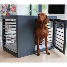 a brown dog sitting on top of a wooden floor next to a metal cage door