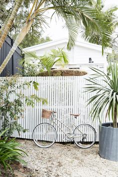 a bicycle parked next to a tall palm tree in front of a white picket fence