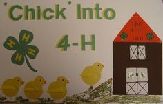 a sign that says chick into 4 - h and has four little ducks in front of it