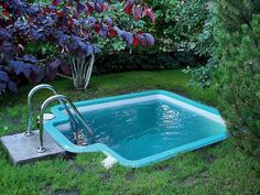 an empty swimming pool in the middle of some grass and bushes with purple flowers behind it